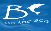 Anguilla Bon the Sea - Client Project Logo